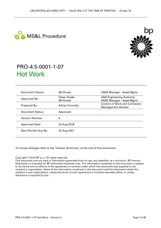 pro-4-5-0001-1-07-hot-work.pdf