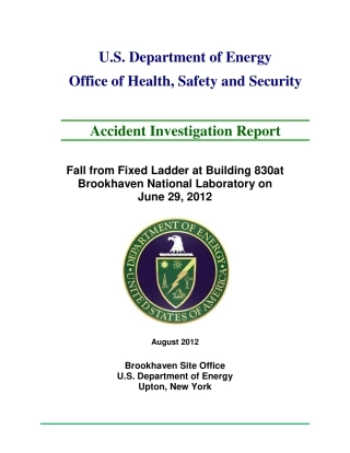 6-29-2012-BNL_AI_Report.pdf