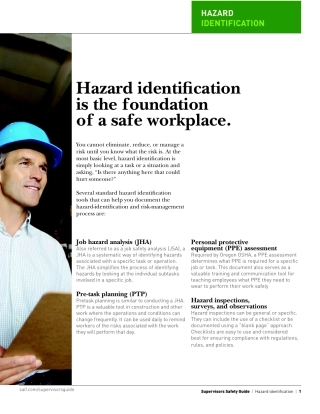 SSG_hazard_identification.pdf