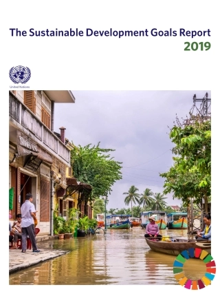 The-Sustainable-Development-Goals-Report-2019.pdf