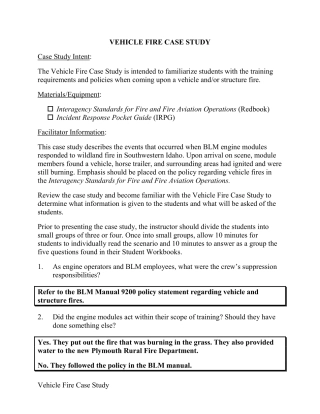 Vehicle_Fire_Case_Study.pdf