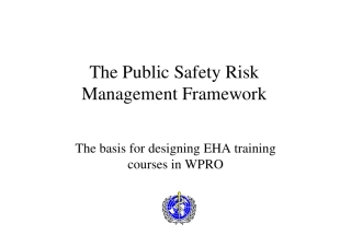 WHO_strategy_safety_risk_management.pdf