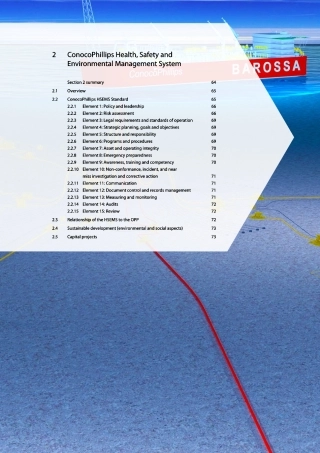 康菲石油HSE体系.pdf