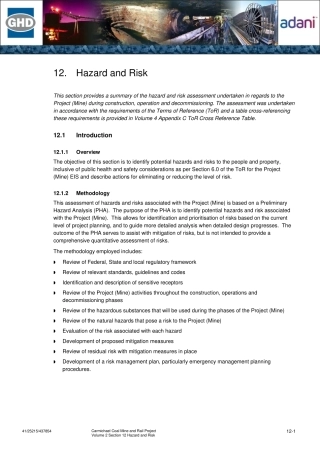 12-hazard-risk-mine.pdf