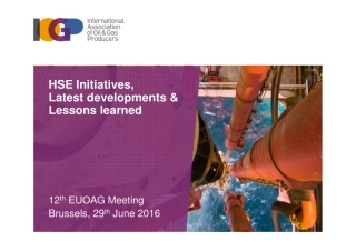 18_iogp_hse_initiatives_and_lessons_learned_0.pdf
