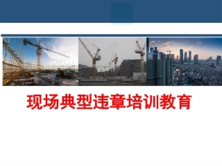 典型违章清单，看图识隐患，好教材！.pptx