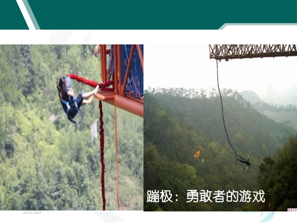 高处坠落事故案例及事故预防安全培训.pptx_第2页