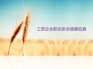 工贸企业职业安全健康巡查重点内容.pptx