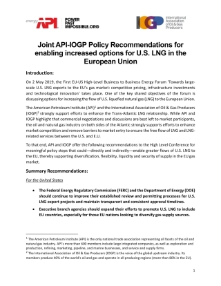 API-IOGP-US-EU-LNG-Joint-Position-Paper.pdf