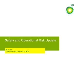 bp-safety-operational-risk-update-oct-2011.pdf
