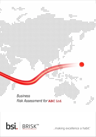 BRISK Report - Sample.pdf