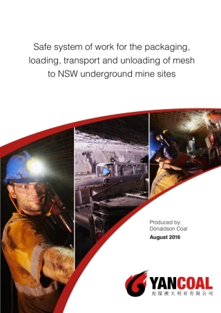 donaldson-coal-safe-system-of-work-underground-mine-mesh.pdf