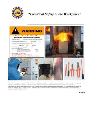 fy11_sh-22230-11_ElectricalSafetyManual.pdf