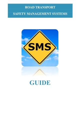 Guide on Road Safety Management Systems.pdf
