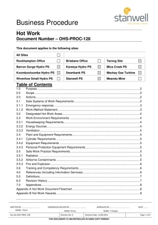 Hot-Work-Business-Procedure.pdf