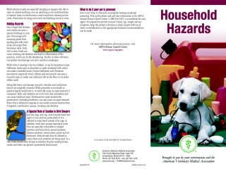 HouseholdHazards-En.pdf