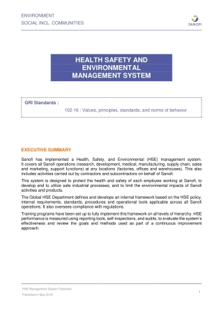 HSE Management System.pdf