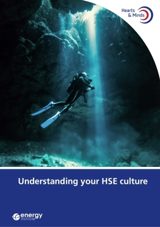 HSE-201-Understanding-your-HSE-culture-v6-SAMPLE-PAGES.pdf