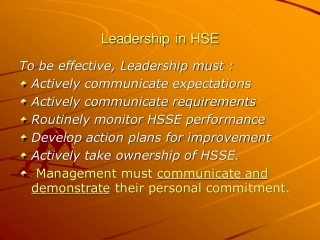 Leadership+in+HSE.pdf