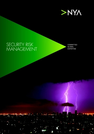 nya-security-risk-management.pdf