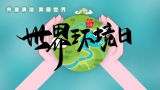 6月5日世界环境日主题培训.pptx