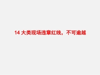 14大类现场违章红线.pptx