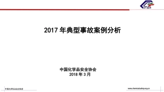 2017年化工典型事故案例分析.pptx