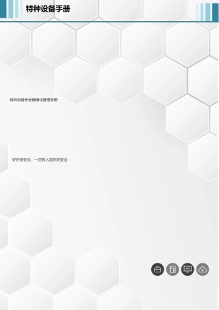 249页！特种设备安全生产精细化管理手册.docx