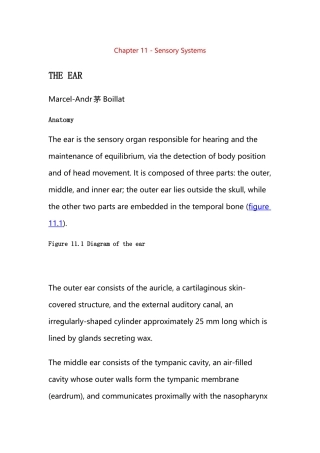 Chapter 11 - Sensory Systems.docx