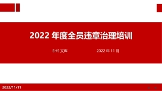2022年度习惯性违章治理主题培训.pptx