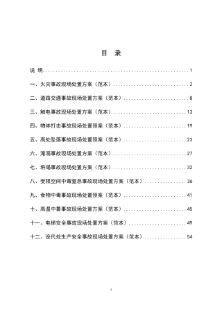 第一部分：现场处置方案范本.docx