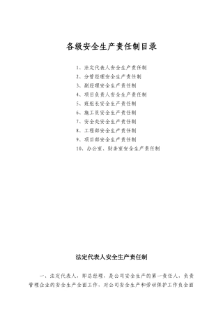 各级安全生产责任制目录及文件.docx