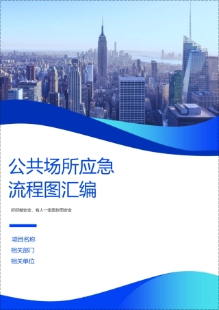公共场所应急处理流程图汇编.docx