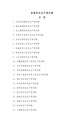 公司各级安全生产责任制目录及文件.docx