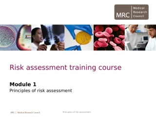 Risk Assessment Presentation 1.pptx