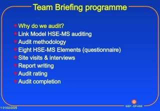 standardauditteambriefing.pptx