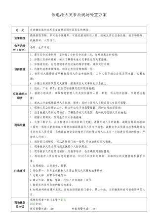 锂电池火灾事故现场处置方案.docx