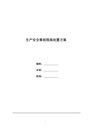 生产安全事故现场处置方案.docx