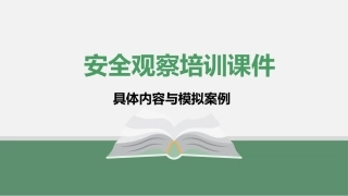 安全观察具体要求与案例.pptx