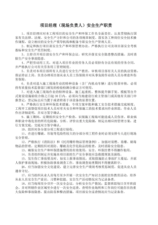 施工项目安全生产责任制及考核记录.docx
