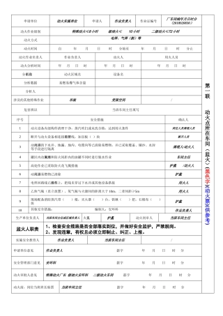 特殊作业票模板.docx