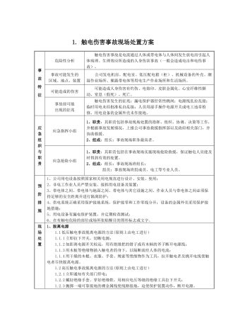 现场处置方案.事故类型专项.docx