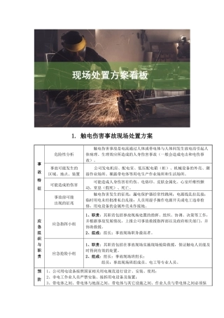 现场处置方案看板，最详细版，非常实用！.docx