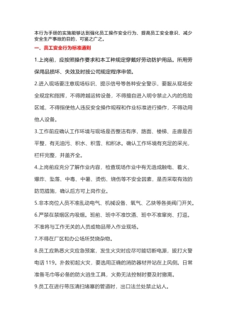 员工行为安全手册，十不准.docx