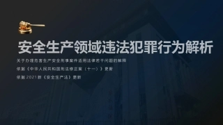 安全生产领域违法犯罪解析.pptx