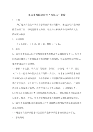 重大隐患治理双报告制度.docx