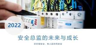 安全总监的未来与成长.pptx