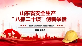 八抓二十项概况.pptx