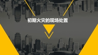 初期火灾的现场处置.pptx
