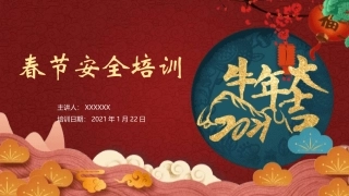 春节前安全教育培训.pptx